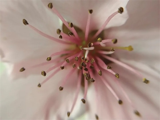 团队的励志句子