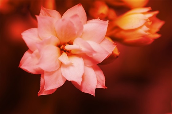 古风伤感凄美句子75句