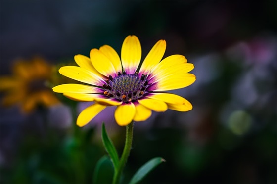 好文案一句话就够了 温柔干净无关爱情的句子