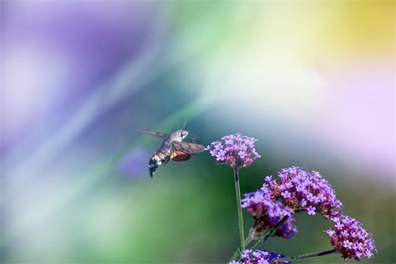 简短暖心励志的小句子 干净励志短句