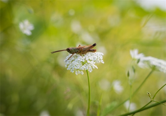 早上起床对男朋友发的话(一句用来撩人的早安句子)