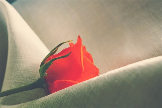 感悟人生苦短的句子 描写人生苦短的句子