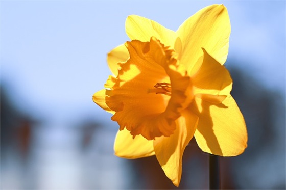 对孩子亏欠陪伴的句子 对孩子愧疚自责的句子