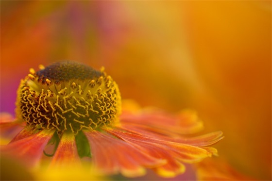 希望孩子开心快乐健康成长的句子精选