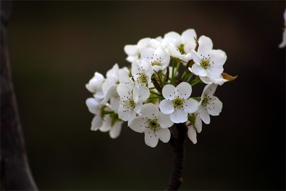 关于接吻的优美句子 形容男女接吻的句子