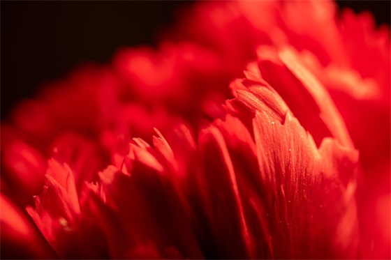 每天坚持努力的句子精选