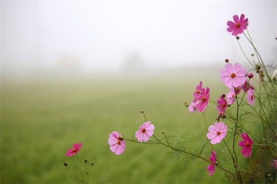 幼儿园毕业离别的文艺短句子47句