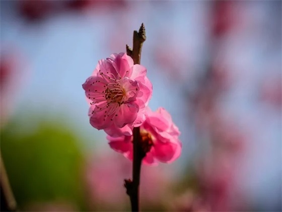 最美语言句子大全 最美句子短句