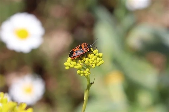 超文艺的句子 很走心的干净短句