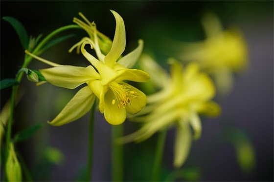 战胜挫折的励志句子