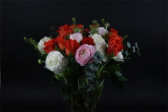 2026开学第一天感受句子文案创意