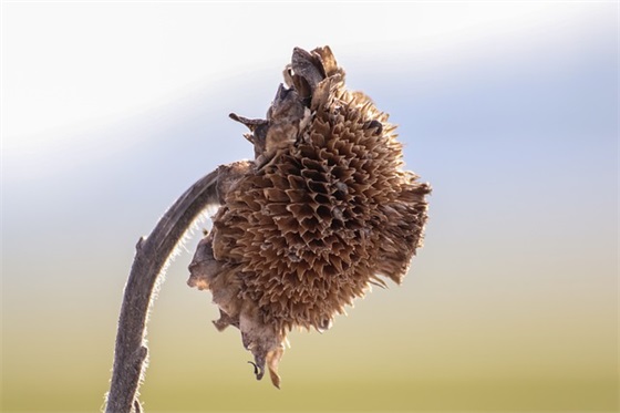 难过不好受的句子大全