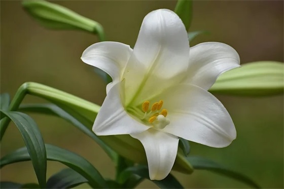 微信上很火的励志句子(2018年微信上很火的段子句子)