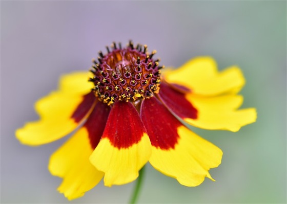 2026扎心伤感文案 2026扎心现实文案句子