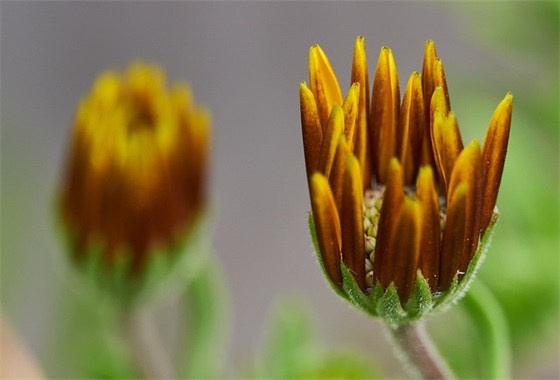 2026人生感悟的精彩句子