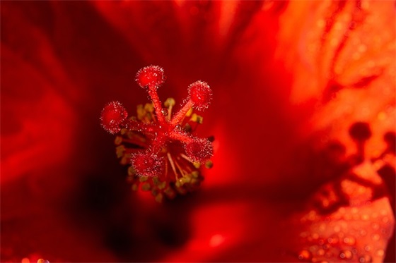 日常问候朋友的句子 高情商问候朋友的语句