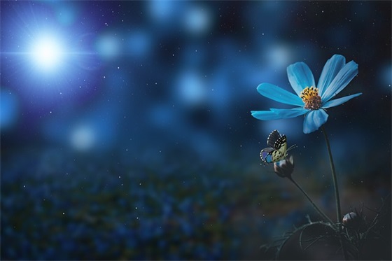 赞美女人坚强的句子 女人坚强的精辟句子