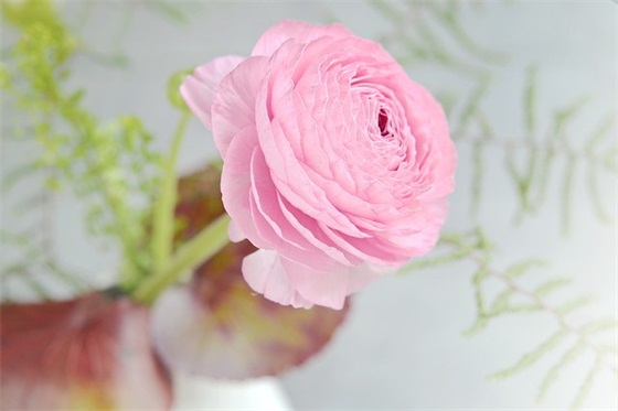 回眸深情优美句子