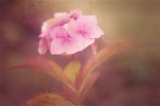 关于爱情悲伤的句子