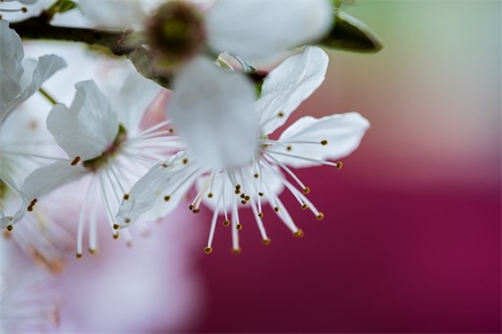 激励大学生奋斗句子