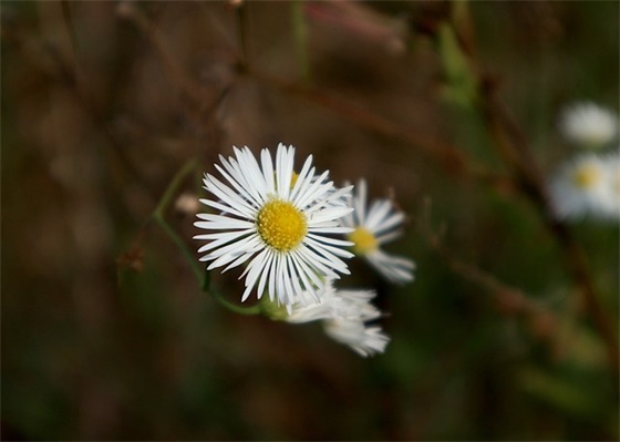 人生感悟时间的句子