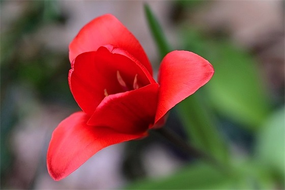 爱情句子短句八字的94句