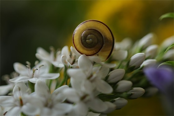 看清了一些人心酸句子(三观很歪却很火的毒鸡汤)