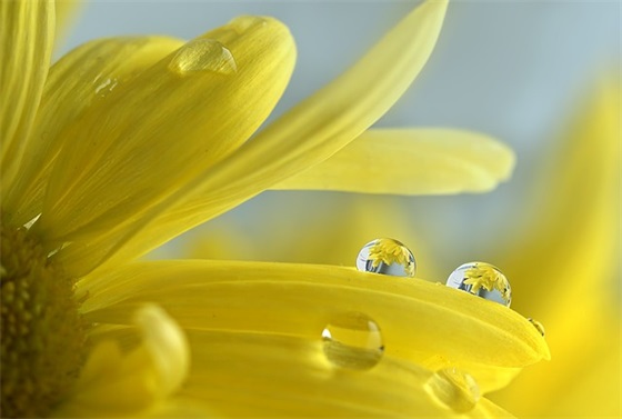 给老师同学家长新年祝福语大全