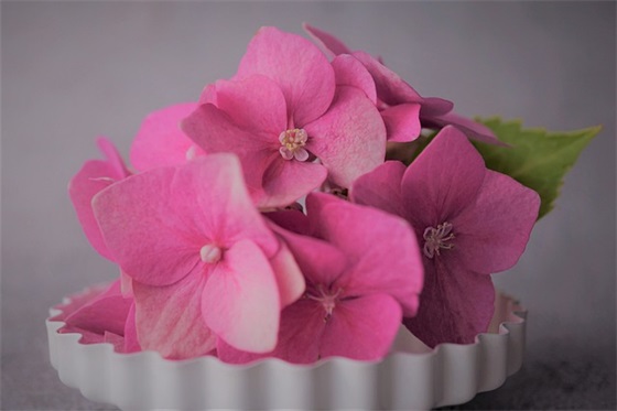 给退休人员的祝福语