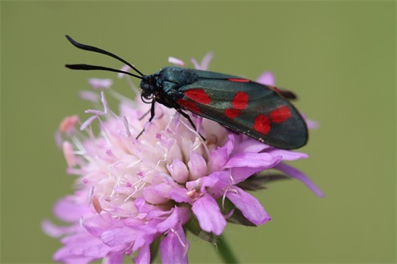 脱离单身的祝福语19句