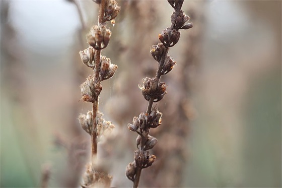 美丽健康祝福语 最美祝福语