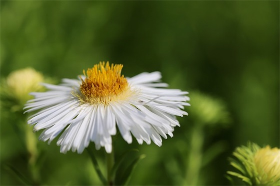 结婚数字祝福成语一到十