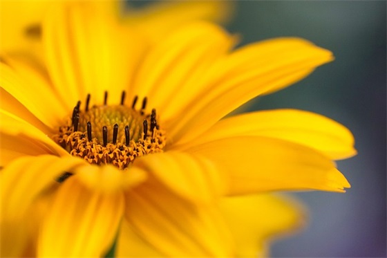 又搞笑又有内涵的新年祝福语 内涵祝福语