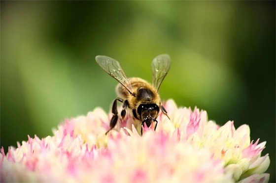 有意思的新婚祝福语 有意思简短的新婚祝福语