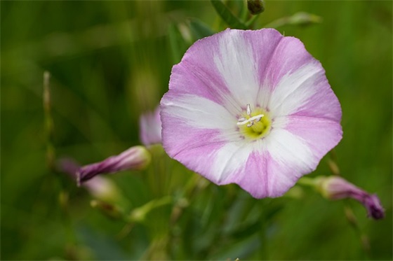 同事退休祝福语23句