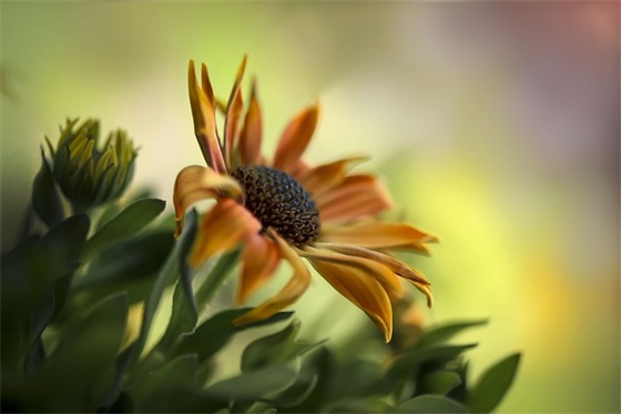 学生祝福语英文