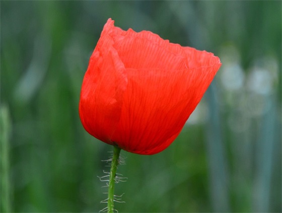 同事买车祝福语大全35句