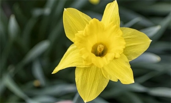 表达自己很穷的句子 暗示缺钱用的句子