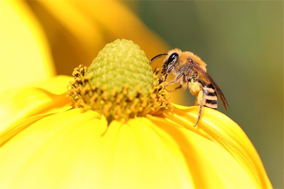 男人爱情伤感的句子 男人悲情伤感短语