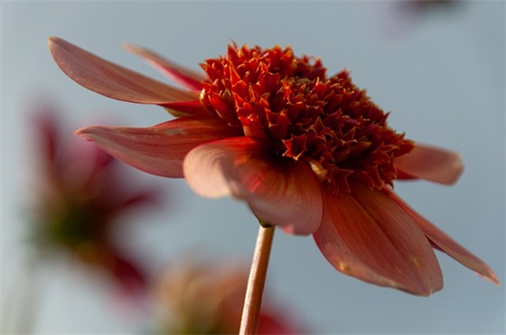 2026年享受新鲜空气的句子