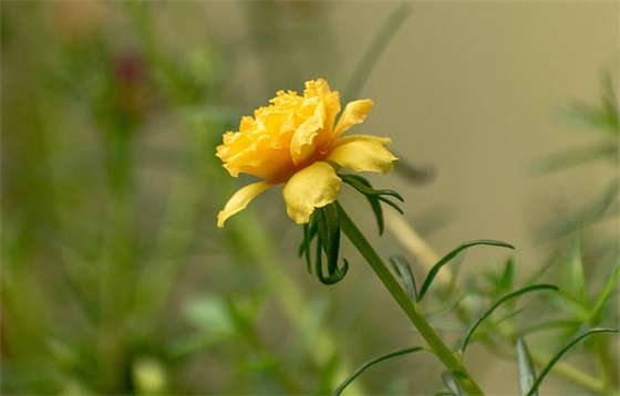 暗示默默离开的句子 默默离开伤感的句子