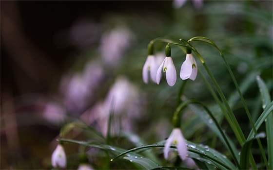 不想再爱了的伤感句子 不爱了的伤感句子