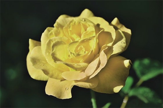 关于科技的句子