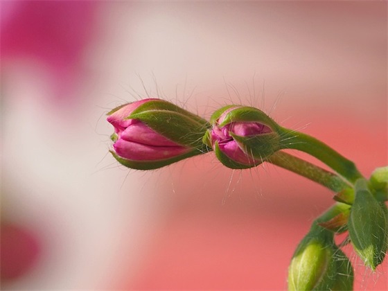 表白偶像的句子 给爱豆的绝美文案