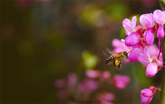 厌倦了每天重复的句子，每天重复着同样的生活的句子