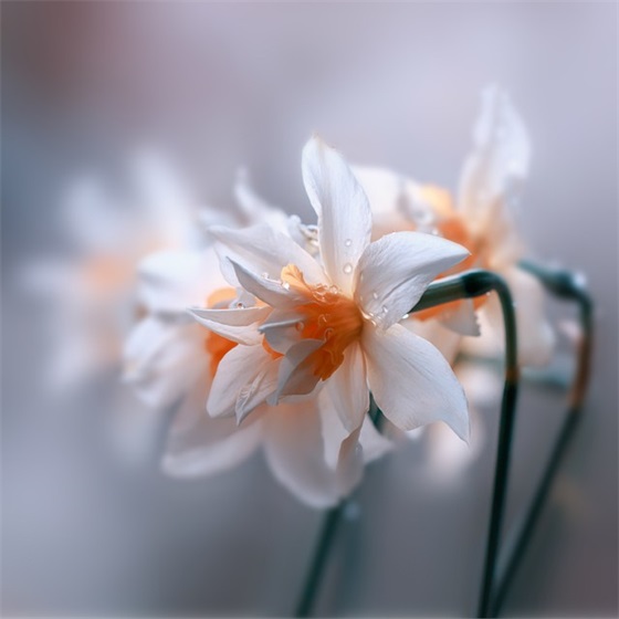 关于感恩朋友的句子