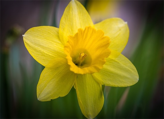 会让人心疼的句子 听了让人心疼的句子