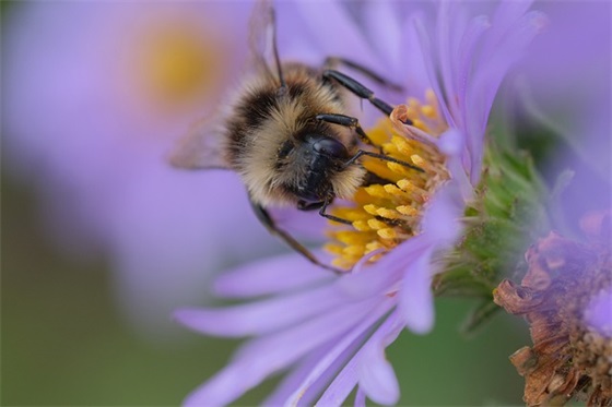 关于港风的句子 港风，到底是个什么“风”