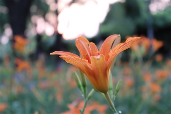 让对方看到心疼的句子 让男人看了愧疚你句子