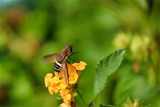 2026年搞笑语录大全126句